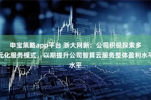 申宝策略app平台 浙大网新：公司积极探索多元化服务模式，以期提升公司智算云服务整体盈利水平