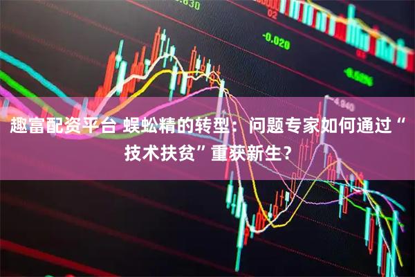 趣富配资平台 蜈蚣精的转型：问题专家如何通过“技术扶贫”重获新生？